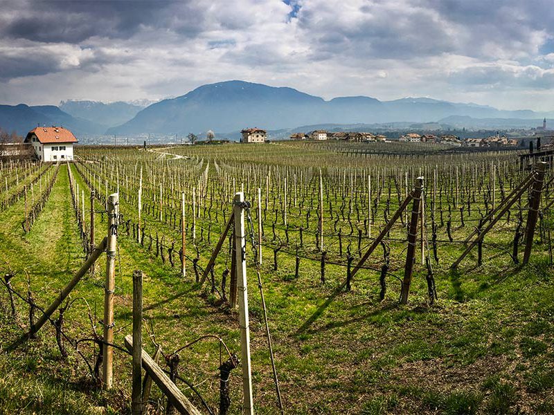 South Tirol Wine Road
